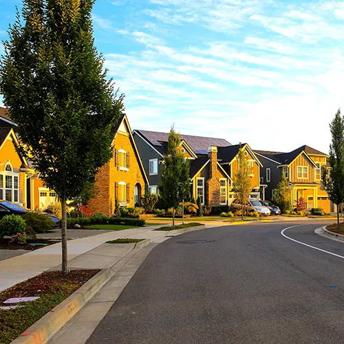 neighborhood