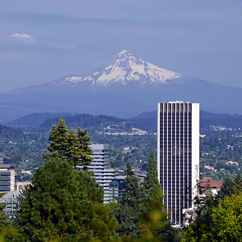 aerial view of portland